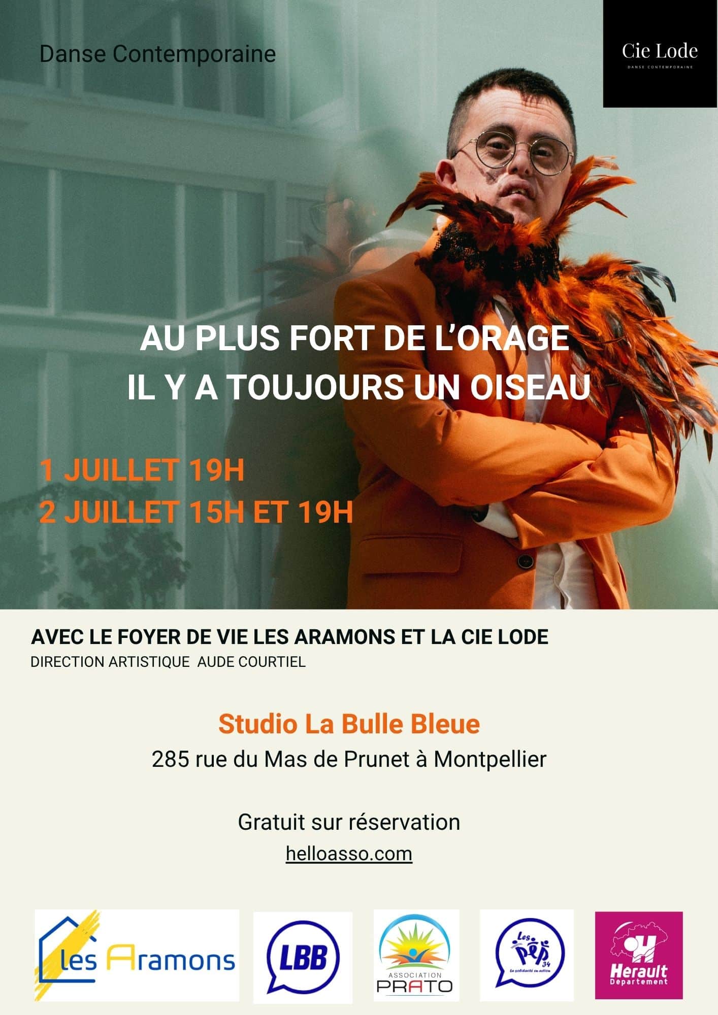 flyer au plus fort aramons